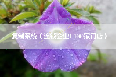 复制系统（连锁企业1-1000家门店）