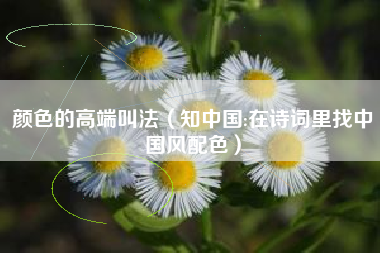 颜色的高端叫法（知中国:在诗词里找中国风配色）