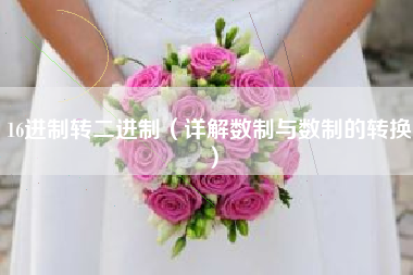 16进制转二进制（详解数制与数制的转换）
