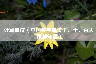 计算单位（中国数字单位个、十、百大家都知道）