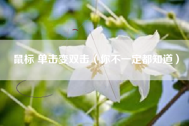 鼠标 单击变双击（你不一定都知道）