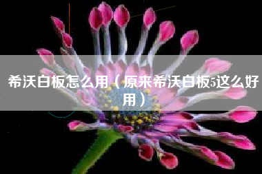 希沃白板怎么用（原来希沃白板5这么好用）