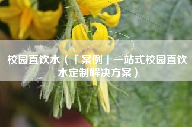 校园直饮水(「案例」一站式校园直饮水定制解决方案)