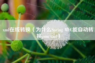 xml在线转换（为什么Spring MVC能自动转换json xml）