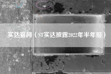 实达官网(ST实达披露2022年半年报)