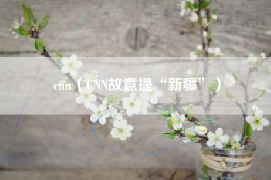 cnn(CNN故意提“新疆”)