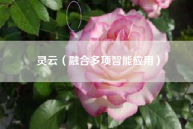 灵云(融合多项智能应用)