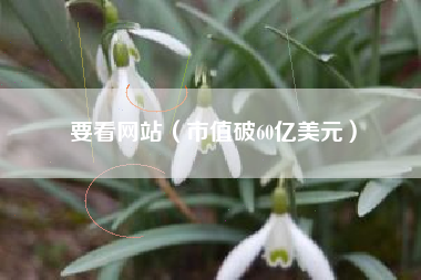 要看网站（市值破60亿美元）