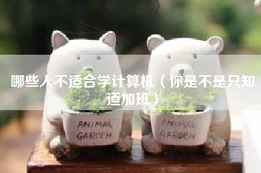 哪些人不适合学计算机（你是不是只知道加班）