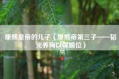 康熙皇帝的儿子(康熙帝第三子——韬光养晦以谋嫡位)