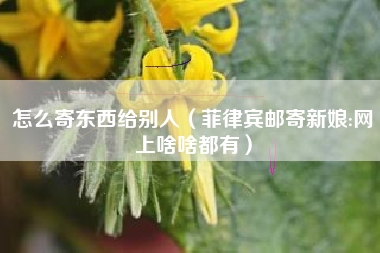怎么寄东西给别人（菲律宾邮寄新娘:网上啥啥都有）