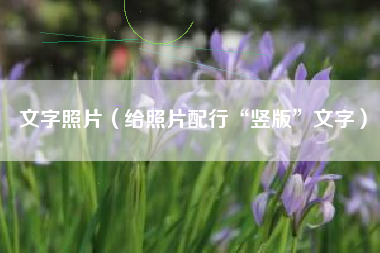 文字照片（给照片配行“竖版”文字）