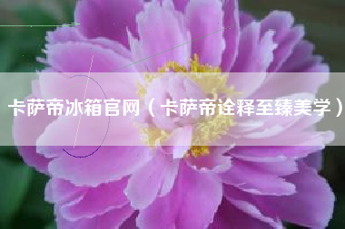 卡萨帝冰箱官网（卡萨帝诠释至臻美学）