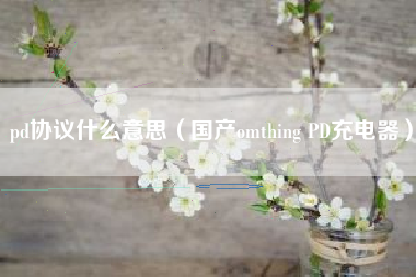 pd协议什么意思（国产omthing PD充电器）