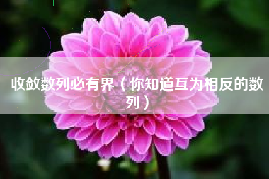 收敛数列必有界（你知道互为相反的数列）