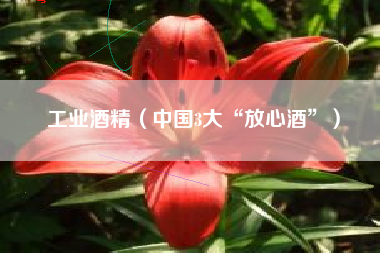 工业酒精(中国3大“放心酒”)