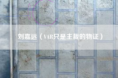刘嘉远(VAR只是主裁的物证)