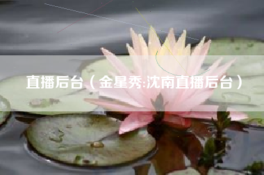 直播后台（金星秀:沈南直播后台）