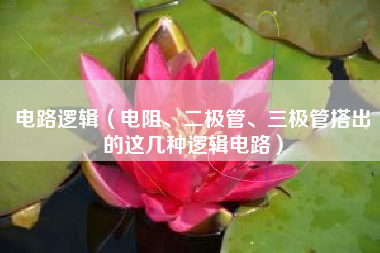 电路逻辑（电阻、二极管、三极管搭出的这几种逻辑电路）