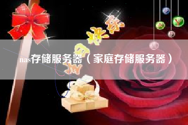 nas存储服务器(家庭存储服务器)