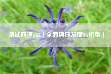 测试网速wifi（全面碾压友商5G机型）