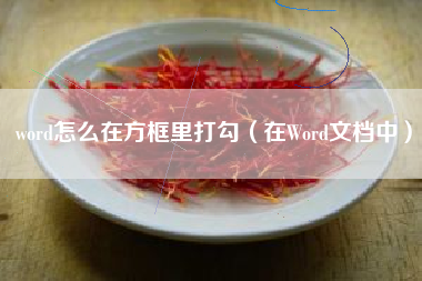word怎么在方框里打勾（在Word文档中）