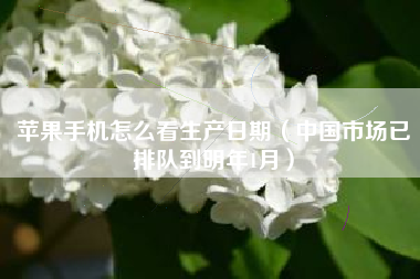 苹果手机怎么看生产日期（中国市场已排队到明年1月）