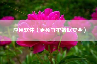 应用软件（更须守护数据安全）
