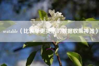 seatable（比表单更灵活的数据收集神器）