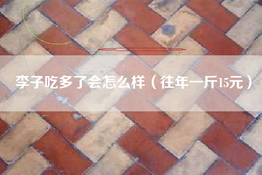 李子吃多了会怎么样（往年一斤15元）