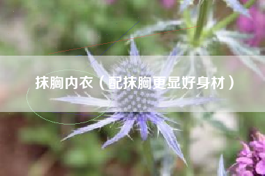 抹胸内衣（配抹胸更显好身材）