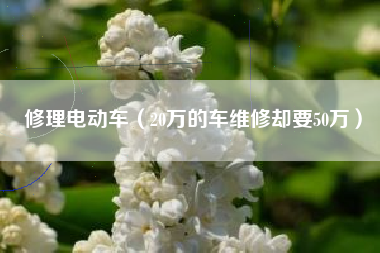 修理电动车(20万的车维修却要50万)