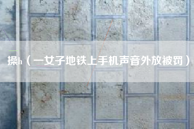 操h（一女子地铁上手机声音外放被罚）