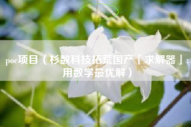 poc项目(杉数科技拓荒国产「求解器」:用数学最优解)