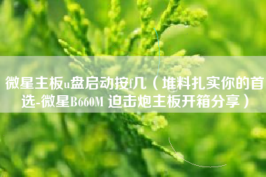 微星主板u盘启动按f几（堆料扎实你的首选-微星B660M 迫击炮主板开箱分享）