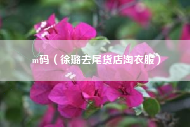m码(徐璐去尾货店淘衣服)