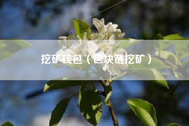 挖矿钱包(区块链挖矿)