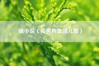 偷小说(弄黑狗血泼儿媳)