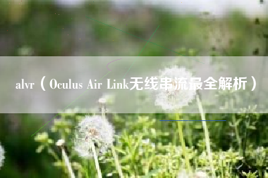 详细阅读:alvr(Oculus Air Link无线串流最全解析) alvr(Oculus Air Link无线串流最全解析)