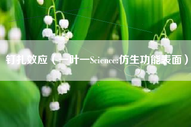 钉扎效应(一叶一Science:仿生功能表面)