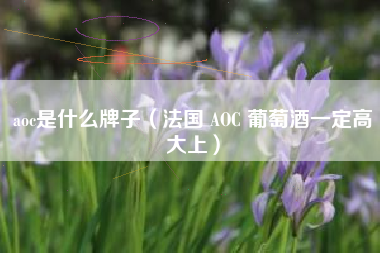 aoc是什么牌子(法国 AOC 葡萄酒一定高大上)
