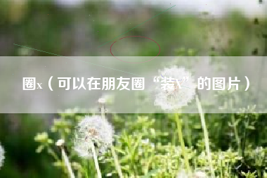 圈x(可以在朋友圈“装X”的图片)
