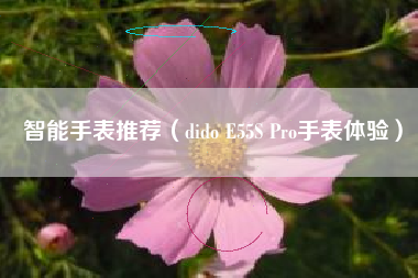 智能手表推荐(dido E55S Pro手表体验)
