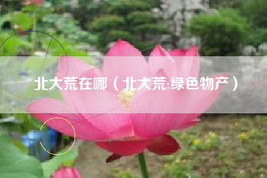 北大荒在哪（北大荒:绿色物产）