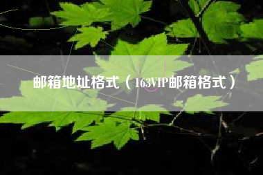 邮箱地址格式（163VIP邮箱格式）