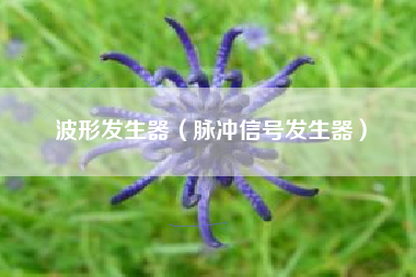 波形发生器（脉冲信号发生器）