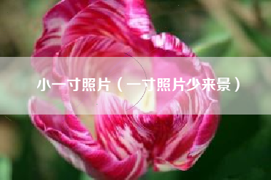 小一寸照片(一寸照片少来景)
