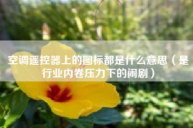 空调遥控器上的图标都是什么意思(是行业内卷压力下的闹剧)