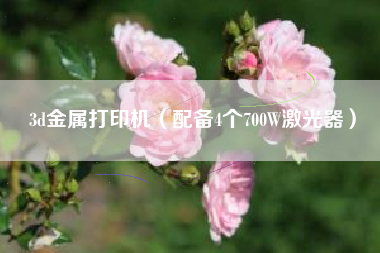 详细阅读:3d金属打印机(配备4个700W激光器) 3d金属打印机(配备4个700W激光器)