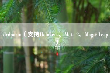 dvdporin（支持HoloLens、Meta 2、Magic Leap）
